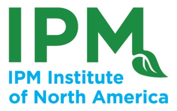 Green and blue IPM Logo white background