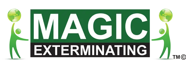 Magic Exterminating - Pest Control & Exterminating Services