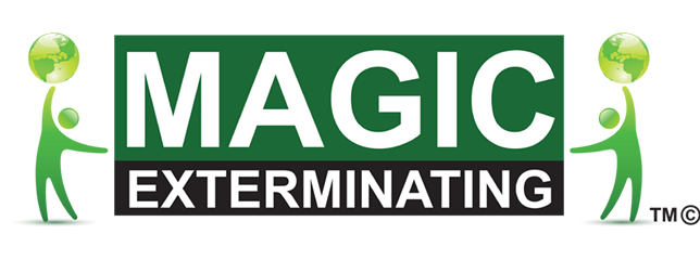 Magic Exterminating - Pest Control & Exterminating Services