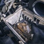 Rat's nesting material in car compartment